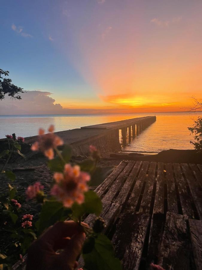 Blue Emocean Dive Resort Moyo Island Eksteriør bilde